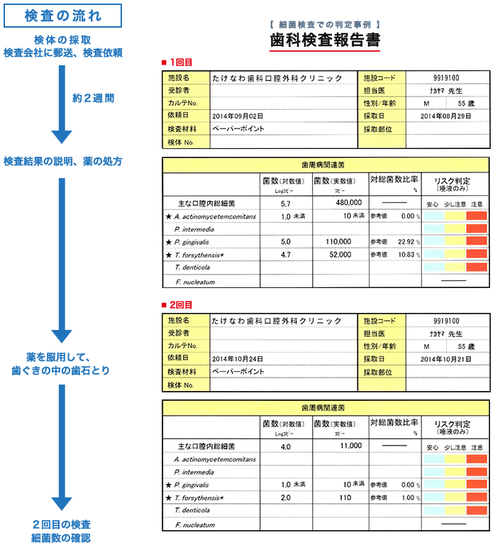 検査の流れ